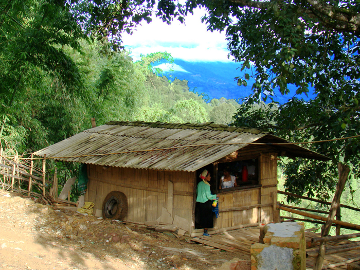 the hut